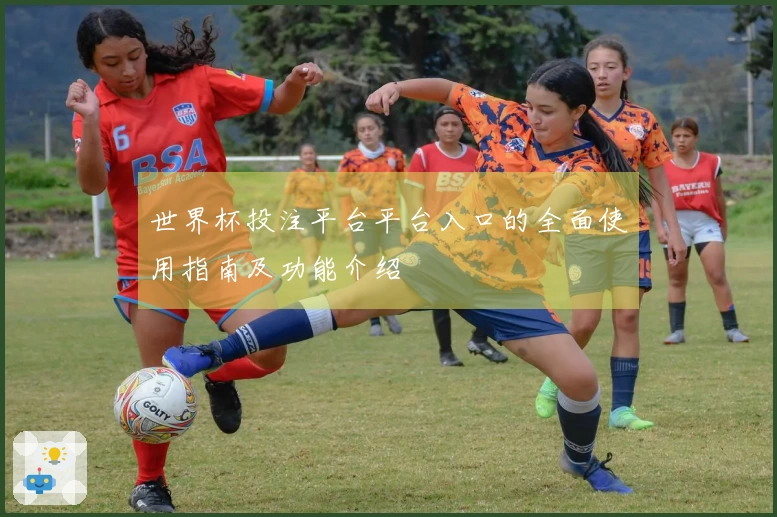 世界杯投注平台平台入口的全面使用指南及功能介绍