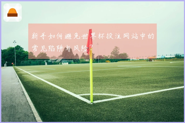 新手如何避免世界杯投注网站中的常见陷阱与风险？