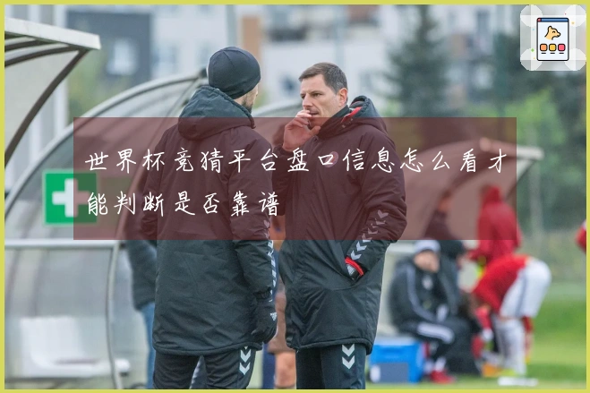 世界杯竞猜平台盘口信息怎么看才能判断是否靠谱