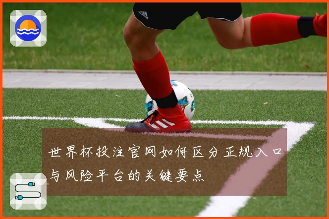 世界杯投注官网如何区分正规入口与风险平台的关键要点