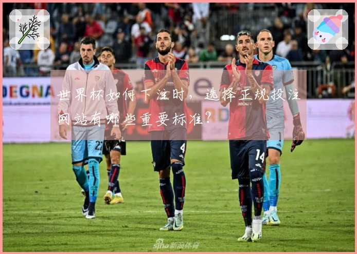 世界杯如何下注时，选择正规投注网站有哪些重要标准？