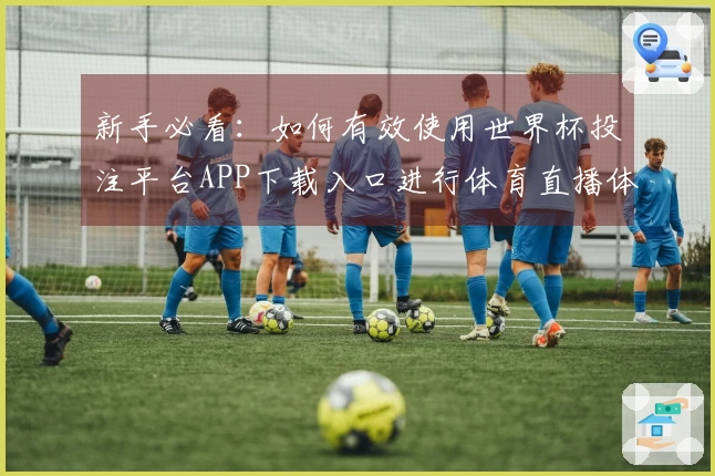 新手必看：如何有效使用世界杯投注平台APP下载入口进行体育直播体验