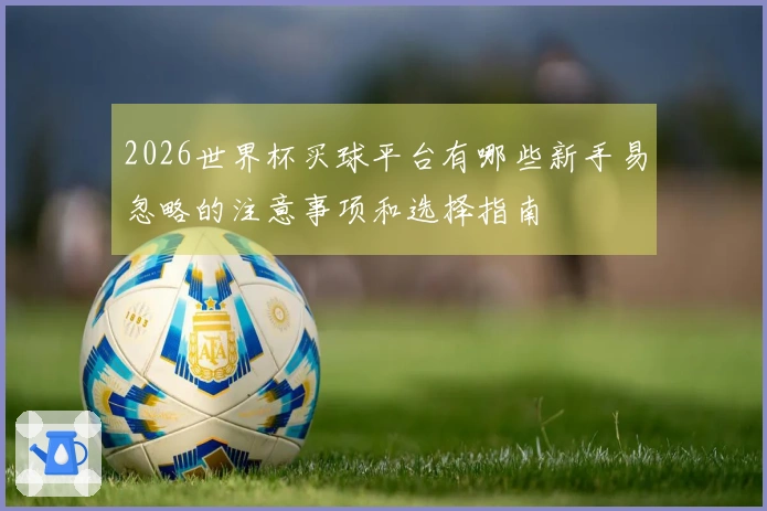 2026世界杯买球平台有哪些新手易忽略的注意事项和选择指南