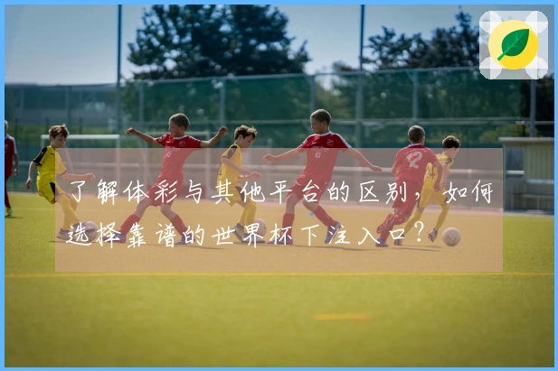 了解体彩与其他平台的区别，如何选择靠谱的世界杯下注入口？