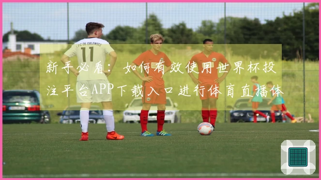 新手必看：如何有效使用世界杯投注平台APP下载入口进行体育直播体验