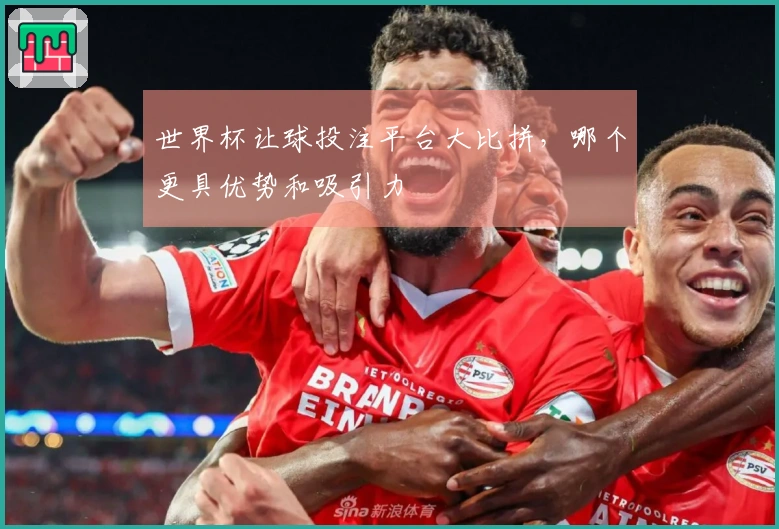 世界杯让球投注平台大比拼，哪个更具优势和吸引力