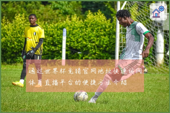 通过世界杯竞猜官网地址快速访问体育直播平台的便捷方法介绍