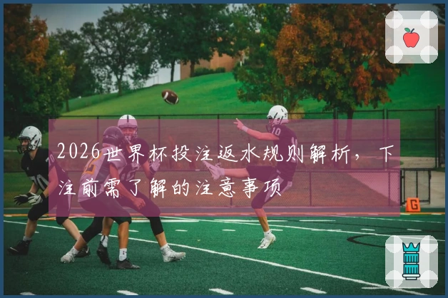 2026世界杯投注返水规则解析，下注前需了解的注意事项