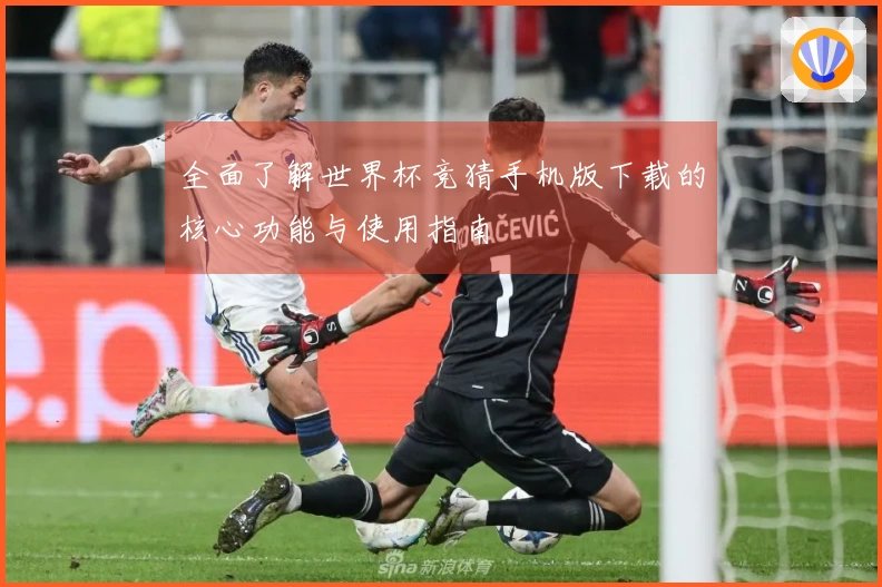 全面了解世界杯竞猜手机版下载的核心功能与使用指南