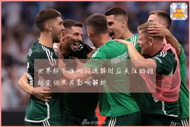 世界杯下注网站选择时应关注的指标变化及其影响解析