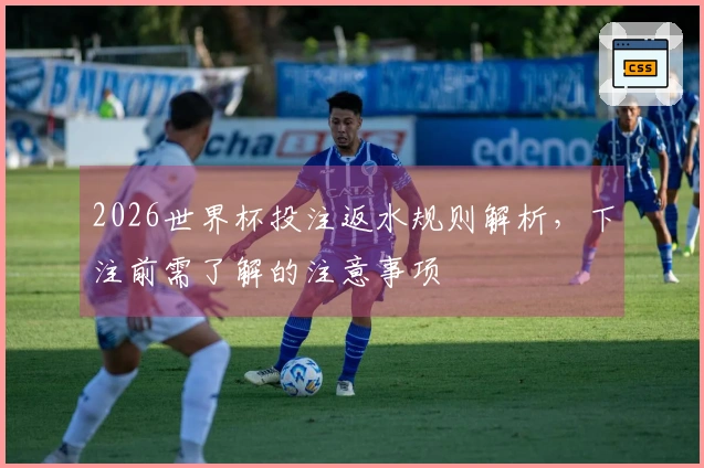 2026世界杯投注返水规则解析，下注前需了解的注意事项
